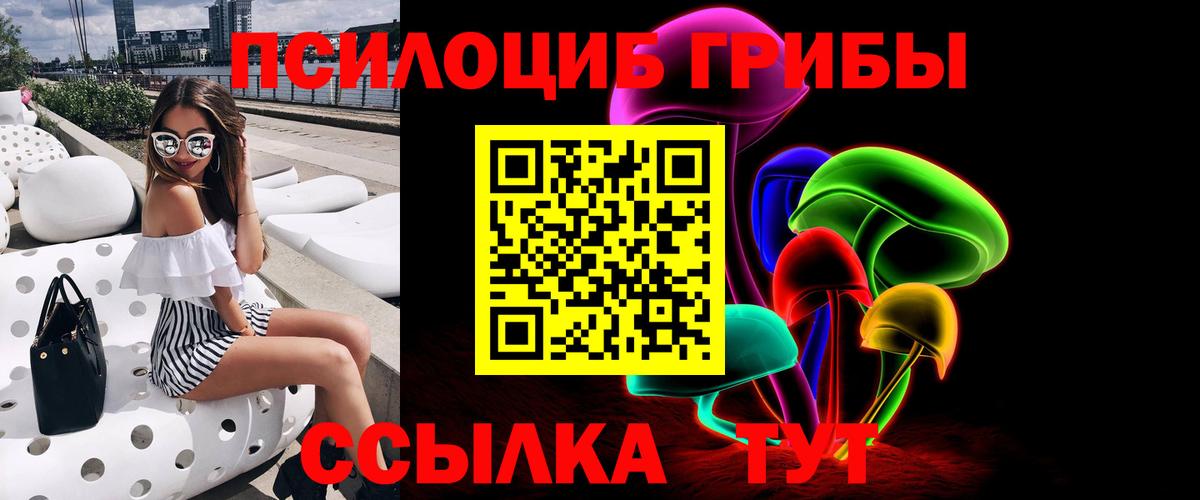 Гудермес  Галлюциногенные грибы Cubensis  Вход с VPN 