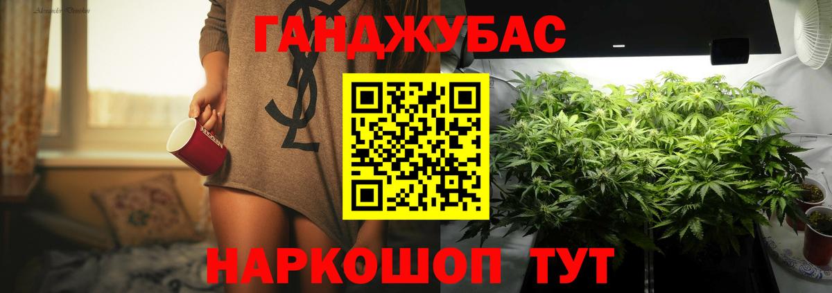 Конопля индика Гудермес